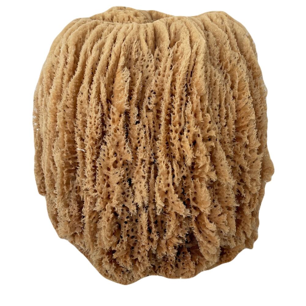 Large Natural Unbleached Sea Sponge - Perfect for Display!  9" x 8" x 8"
